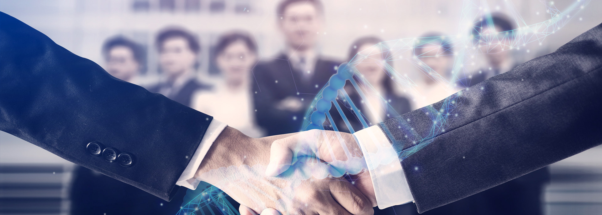 乐鱼网页版·官方站网站